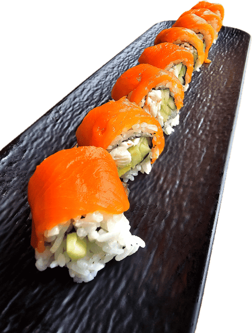 Salmon Lover